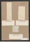 Pleurosigma salinarum Grun. (de-Toni-Nr.: Genus 13, Species 1055) Zeichnungen Sammlung Grunow Nr. 1898 (NHMW-BOT-W0369016)